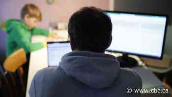 Pandemic measures expose work-from-home inequality says StatsCan