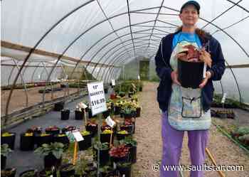 Hot demand at the greenhouse