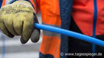 Corona macht's möglich – Wirtschaft statt Identitätspolitik : Moralisch sein kann jeder, kompetent sein erfordert Arbeit und Anstrengung - Tagesspiegel