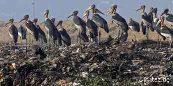 Wirtschaft ohne Kohlendioxidemissionen: Ein Klimaziel für die halbe Welt - taz.de