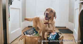 Meet Birmingham's top 20 lockdown dogs - and vote for the winner