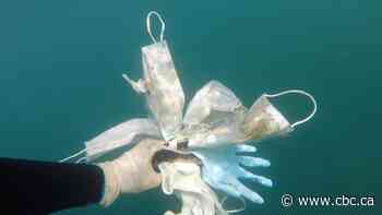 Those COVID-19 masks, gloves and wipes we're all using are polluting land and sea