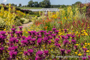 Campaign to save Helmsley Walled Garden raises £46,000
