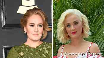 Promi-Gegend: Adele, Katy Perry und Co. sind Nachbarinnen! - Promiflash.de