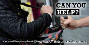 Appeal after attempt to take woman’s bag – Taunton