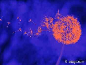 These new shops want to revitalize a business model in need of change