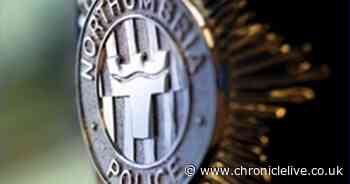 Northumbria Police investigating video featuring racial slurs as 'hate crime'