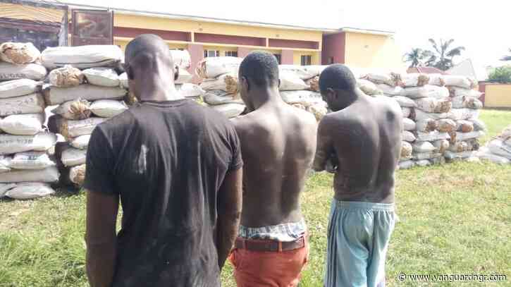 NDLEA arrests truck ladened with 3,962kg of Indian hemp in Benue