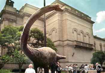 Carnegie museums, others reopening