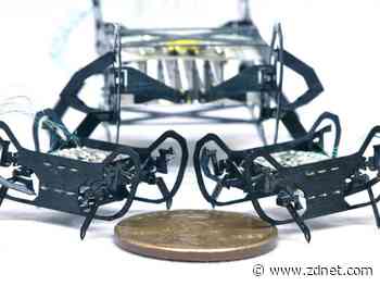 Researchers just made this running, jumping cockroach robot even smaller