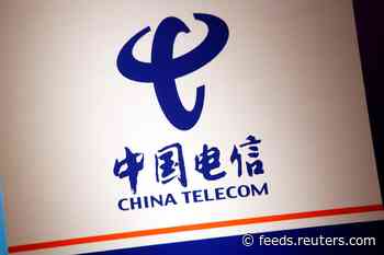 U.S. failed to properly oversee Chinese telecom carriers: Senate panel