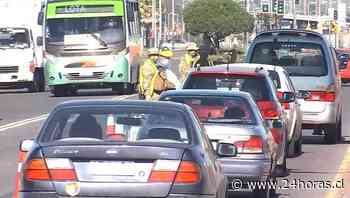 Comienza control sanitario preventivo en Coronel - - Biobío - 24Horas.cl