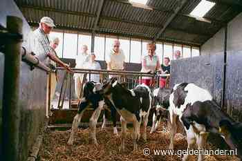 Handen af van de Veluwe! Vrees voor massaal wegkopen boerderijen voor stikstofrechten