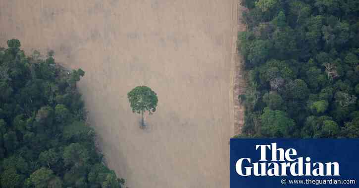 Let sustainable development drive UK's recovery, PM told