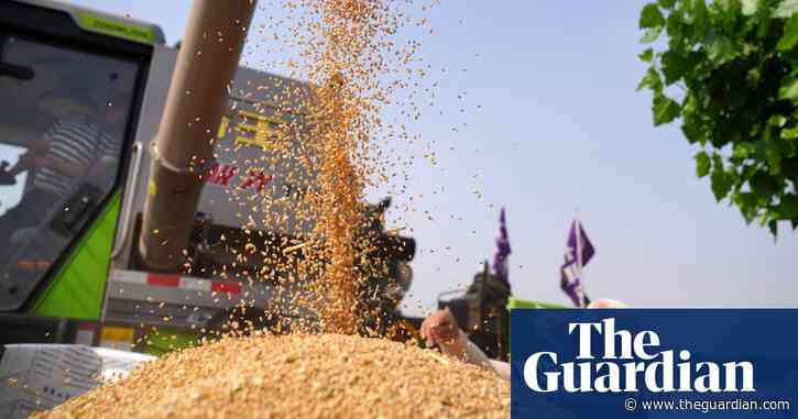 World faces worst food crisis for at least 50 years, UN warns