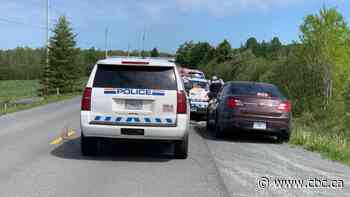 Dog that was on the loose after fatal attack in Nova Scotia is now dead