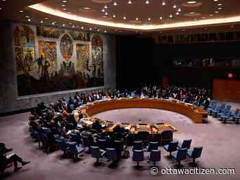 Cohen: A UN Security Council seat is worth fighting for