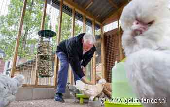 Dieren stadsboerderij aan het Spijk in Wageningen vanaf zaterdag weer te zien