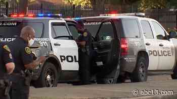 Houston police reform task force to be formed by end of June - KTRK-TV
