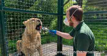 Zoos to reopen under new lockdown easing measures
