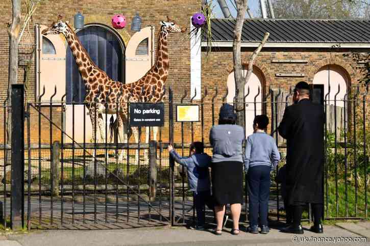 Zoos and drive-in cinemas will be among English businesses reopening next Monday