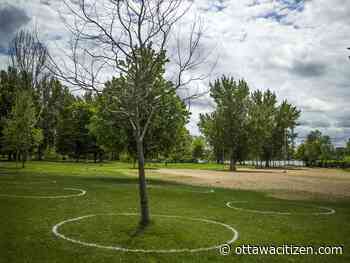 Ottawa day camps will run under physical-distancing guidelines