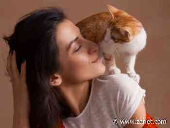 Chewy's strong Q1: 'Increased demand levels we are experiencing are here to stay'