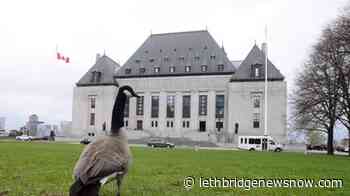 Top court keeps wheels of justice turning with virtual hearings - Lethbridge News Now