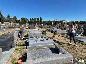Nemours. Opération citoyenne : ils ont nettoyé le cimetière - actu.fr