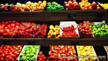 Ottawa Provides Funding for Local Community Kitchens, Food Banks & Urban Gardens - mycoastnow.com