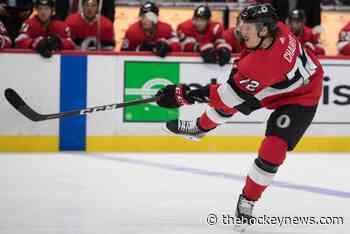 2019-20 season postmortem: Ottawa Senators - The Hockey News