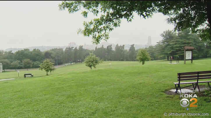 Pittsburgh Department Of Public Works Plans To Use Sustainable Landscaping In City Parks