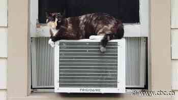Can my fan or air conditioner spread coronavirus? Your COVID-19 questions answered