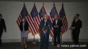 GOP responds to unfounded Trump tweet on protester