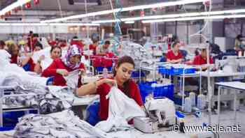 Google partners with WWF on digital data platform for sustainable fashion sourcing