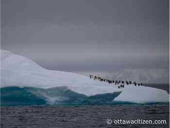How COVID-19 could alter the course of climate change
