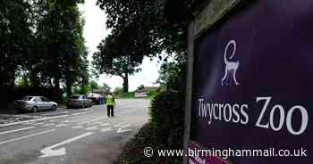 Twycross Zoo handed  'great first step' as plans unveiled for reopening