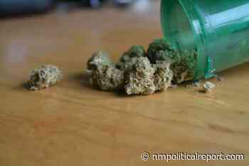 State judge denies petition for medical cannabis use while on house arrest - New Mexico Political Report