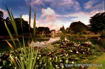 Burnby Hall  gardens reopen to public, but you need to book