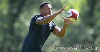 Welsh rugby star's mother publishes vile abuse her son just received