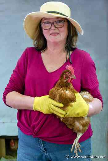 Raising chickens proves perfect stay-at-home project
