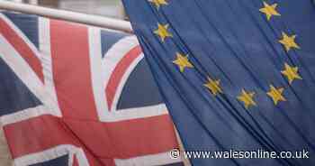 Brexit: Is the UK on course for a no deal?