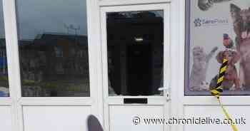 Appeal after 'dangerous drugs' stolen from vets during burglary