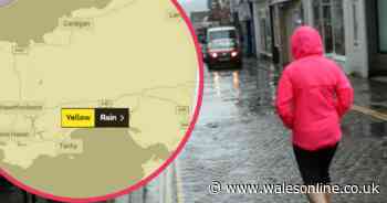 Yellow Met Office weather warning for Wales as nearly three inches of rain forecast - Wales Online