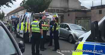 Police called to street after reports of a fight - WalesOnline
