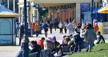 UK death toll would have been 'halved' if lockdown had been a week earlier