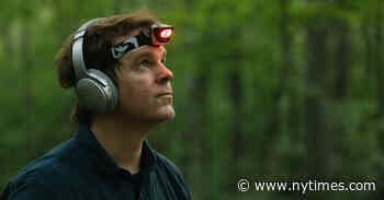 Vilified for Virus, Bats Are a New Album’s Seductive Stars