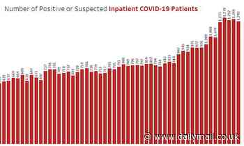 Nine states where COVID-19 hospitalizations are now spiking after reopening