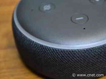 Alexa, Siri and Google Assistant voice support for Black Lives Matter     - CNET