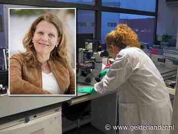 Leids coronavaccin al in juli op mensen getest